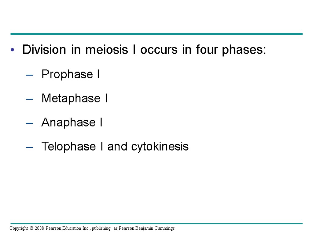 Division in meiosis I occurs in four phases: – Prophase I – Metaphase I